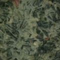 Cooksnap dari QQ andrian untuk resep Sayur santan daun singkong