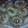 El cooksnap de Belén cuando hizo Rosquitas.