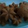 Cooksnap dari Nurbaety Fitri untuk resep Kue Sakura [jajanan tempo dulu]