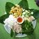 Cooksnap của Thu Mèo khi họ làm theo món Bún Đậu Mắm Tôm
