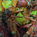 Cooksnap dari Fajar Hayati untuk resep Lobster saus padang