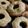 El cooksnap de Camila Giusiano cuando hizo Muffins de Manzana.