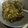 Keya Mandal's cooksnap of when they made সজনে ফুলের চচ্চড়ি (Sojne Fuler Chorchori recipe in Bengali).