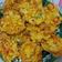 Cooksnap dari Dini untuk resep Bakwan Jagung