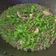 Cooksnap dari Velisa Betrix untuk resep Tumis Buncis Daging Cincang