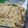 Sheenay Khan's cooksnap of when they made Chicken pulao.