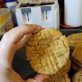 Jeremy Mcneely's cooksnap of when they made Peanut Butter Cookies with chocolate chips and walnuts.