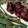 bingram580's cooksnap of when they made Barbecued Mini Turkey Meatballs.