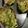 El cooksnap de Claudia cuando hizo Aguacates light.