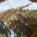 El cooksnap de tamara cuando hizo Torta de avena con manzana y canela.