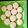 Priyaramesh Kitchen's cooksnap of when they made சோளமாவு மில்க் குக்கீஸ்(corn flour milk cookies recipe in tamil).