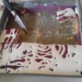 El cooksnap de Aye♣ cuando hizo Tarta de gelatina .