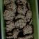 Cooksnap dari Hapsari untuk resep Crispy oatmeal cookies