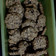 Cooksnap dari Hapsari untuk resep Crispy oatmeal cookies