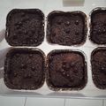 Cooksnap dari Evy Cuex untuk resep 16. Brownies Coklat Empuk Anti Gagal No Mixer No Oven