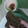 Cooksnap dari Desta Kristanti untuk resep Bolu Pisang Kukus