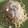 El cooksnap de astrid badia cuando hizo Spaghetti Cacio e Pepe.