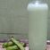 Cooksnap dari Mama AP untuk resep Susu Kacang Edamame