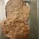 黃靜 的 自製漢堡肉排 cooksnap