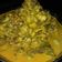 Apeksha sam का कुकस्नैप जब उन्होंने तोरई की सब्जी (Torai ki sabzi recipe in Hindi) बनाया था।