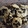 El cooksnap de silvanatoledo cuando hizo Galletas de Avena & Banana.