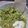 El cooksnap de María Jesús Ruiz cuando hizo 344. Guacamole tradicional mexicano (salsa).