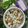 Keya Mandal's cooksnap of when they made লাউ ঘন্ট(Lau ghonto recipe in Bengali).