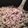 Upset User's cooksnap of when they made Goulash.