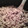 Upset User's cooksnap of when they made Goulash.