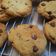 Cooksnap dari Izzati Zata lini untuk resep Vanilla Chocochips Cookies Tintin Rayner