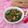 Cooksnap dari Ruth Destianty untuk resep Tumis buncis