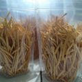 Cooksnap dari Rina Herlina untuk resep 586.Cheese Stik