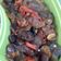 Cooksnap dari dresnatia untuk resep Tumis Tahu Jamur Kuping Hitam
