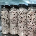 Cooksnap dari Seveny untuk resep Es Lumut Coklat