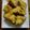 Cooksnap dari UCOK ROZALI untuk resep Tahu Goreng Tepung Spesial