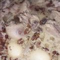 Cooksnap dari Mbak Titik untuk resep Opor Ayam Bumbu Kuning