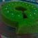 Cooksnap dari Anon Aufah untuk resep Puding lumut hemat (daun pandan & telur) No amis telur ^^,