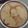 El cooksnap de Cris Arellano cuando hizo Fainá de harina garbanzos (o de averjas)vegana.