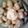 Gutman's cooksnap of when they made blooming onion dipping sauce.