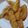 Cooksnap dari iluvyousomatcha untuk resep Pisang Goreng Wijen Crispy