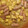El cooksnap de laura cuando hizo Patatas con longanizas frescas.