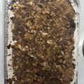 Antonio Desavo Eats's cooksnap of when they made The best 