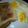 Thulani Makhoba's cooksnap of when they made Noodles Sunny Side Up and Grilled Chicken.