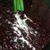 Cooksnap dari pipi3t untuk resep Bubur ketan hitam