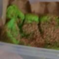 Cooksnap dari Asmania Yusuf untuk resep Bolu Pandan Keju Almond -Keto