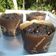 Cooksnap dari ifa kauji untuk resep Triple Chocolate Muffin