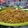 Cooksnap dari Aprilia Dwiputri Bayu untuk resep 336. Mie Goreng ala Solaria