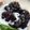 Cooksnap dari Ita Nur Kamilah untuk resep Bubur ketan hitam