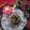 Daxa Parmar's cooksnap of when they made કાળા જામુન (Kala Jamun Recipe In Gujarati).