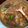 Cooksnap dari Dhora Agustien untuk resep Tongseng Ayam